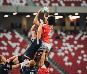 【kaiyun】荷兰队后防突遭变故 哈特曼因病退出集训无缘欧国联关键战